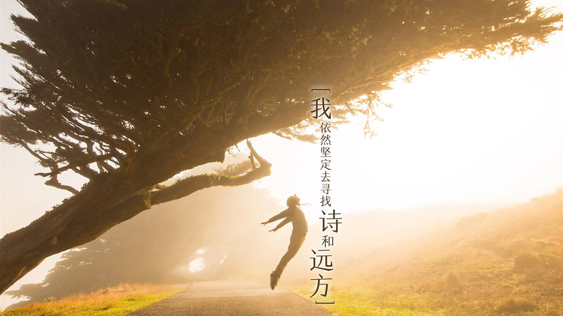 战袍颜色之外的星辰,恩佐的压制级发挥与足球的永恒对话