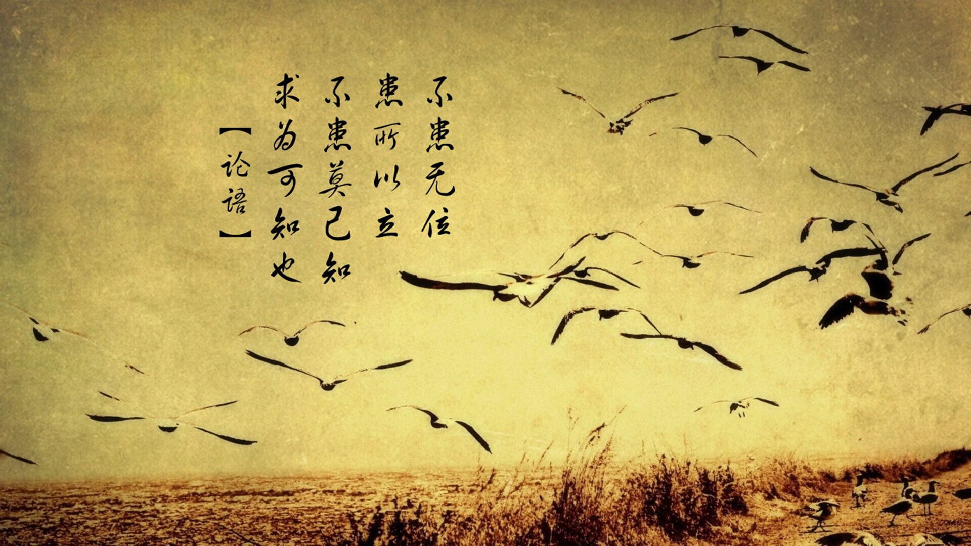 红与橙的平行宇宙,国家德比的狂想曲与荷兰人的实用主义诗篇