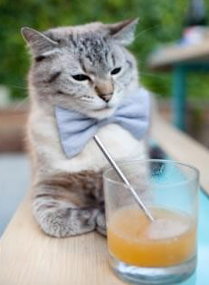 涅槃夜,当哭泣门徒的泪水化为王座前的血痕