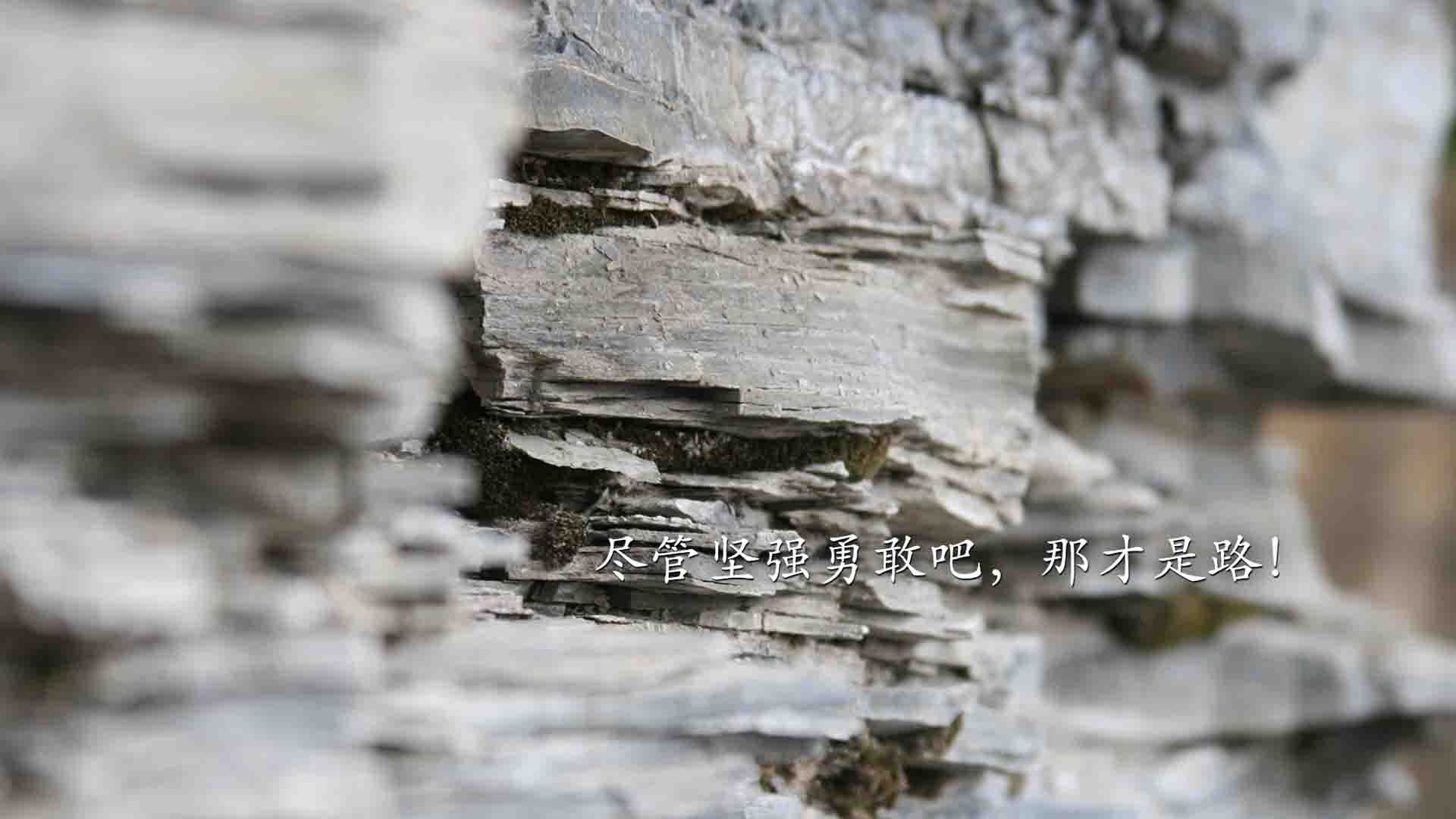 暴雨让航班延误，却让两支老鹰隔空击掌