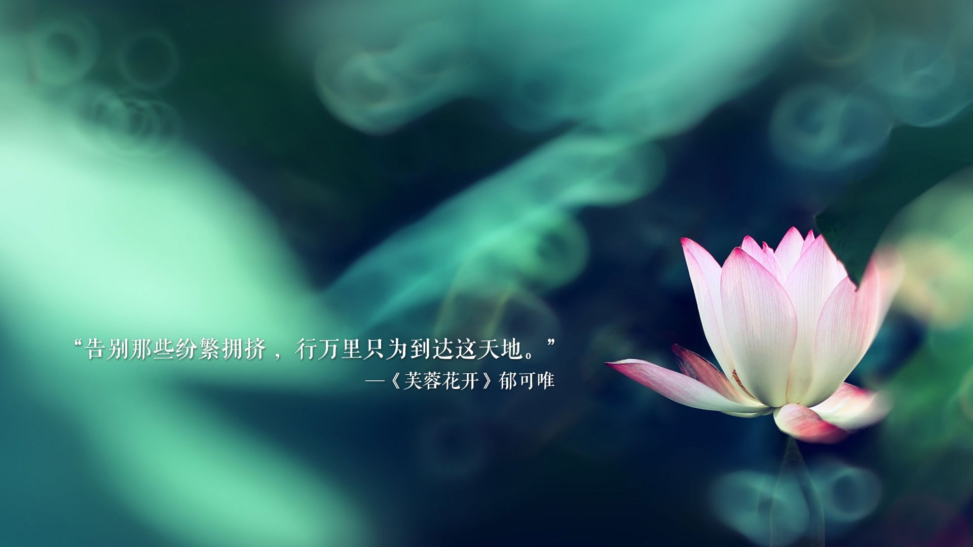 一剑封喉与铁壁铜墙,一文读懂何为真正的大场面先生