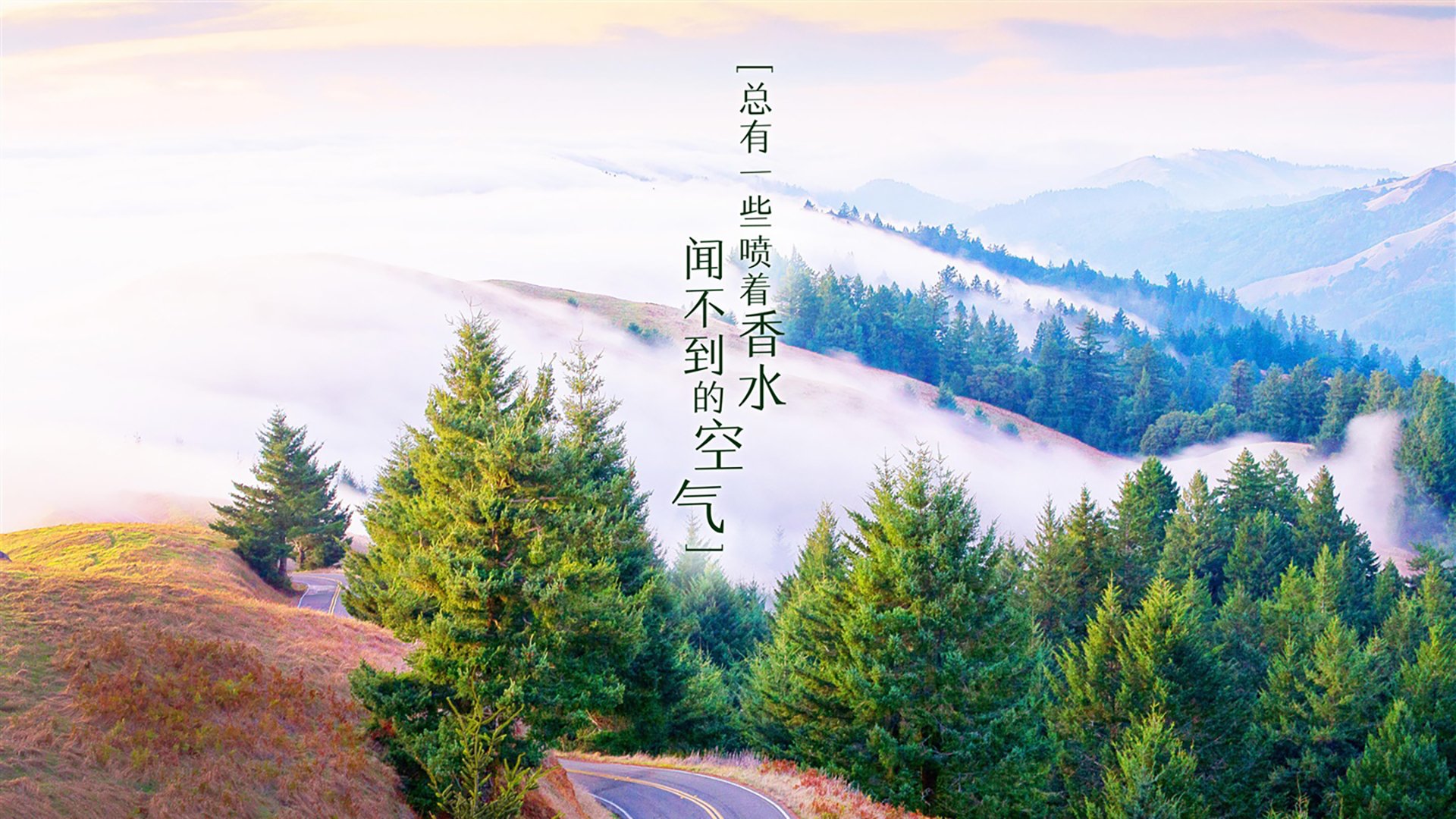 维京战吼的终章,当加维的西班牙之魂,在北境冰原上为罗马尼亚点燃希望