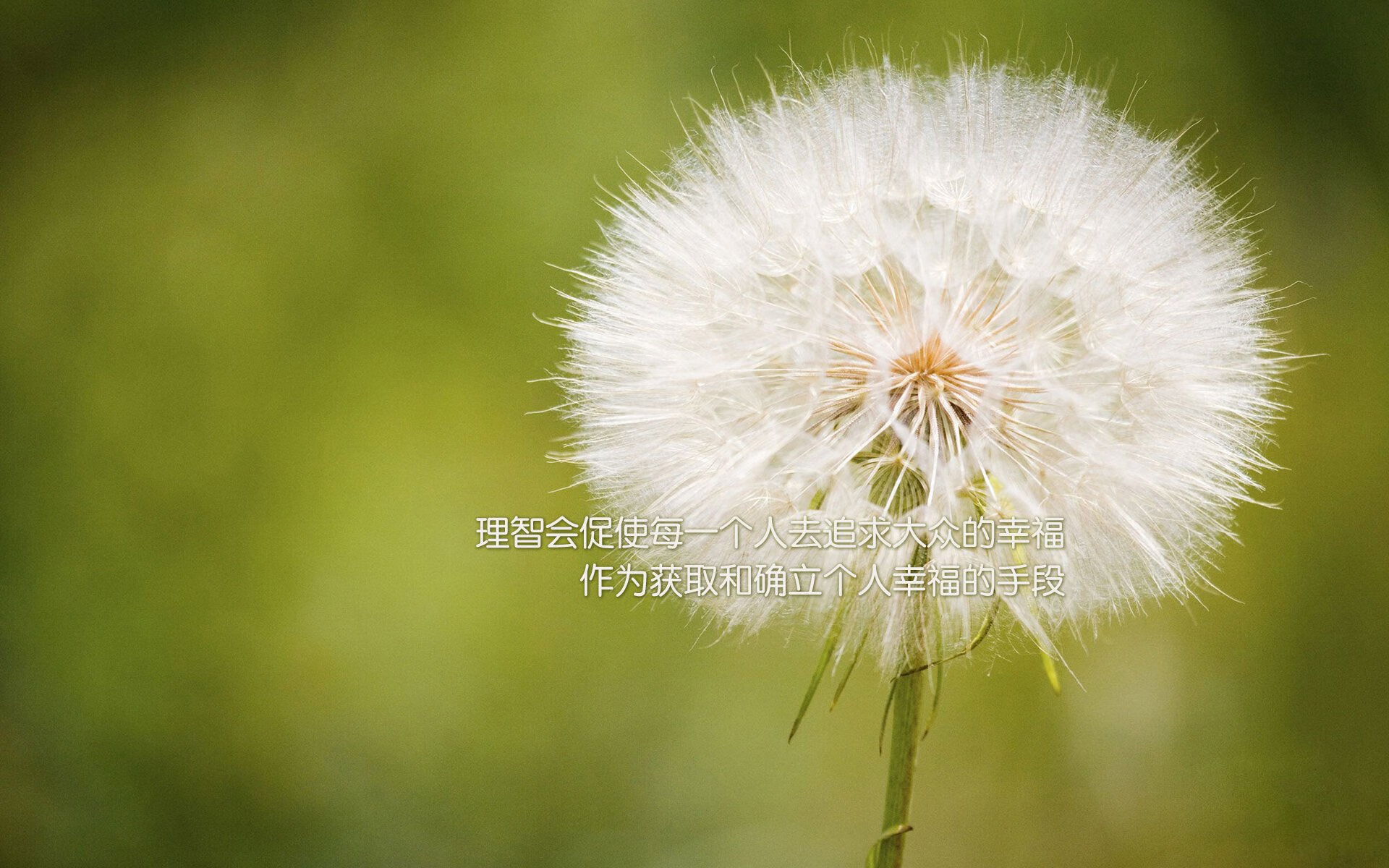 棋局与字谜,当萨内的致命一击解开世界杯B组的东方密码