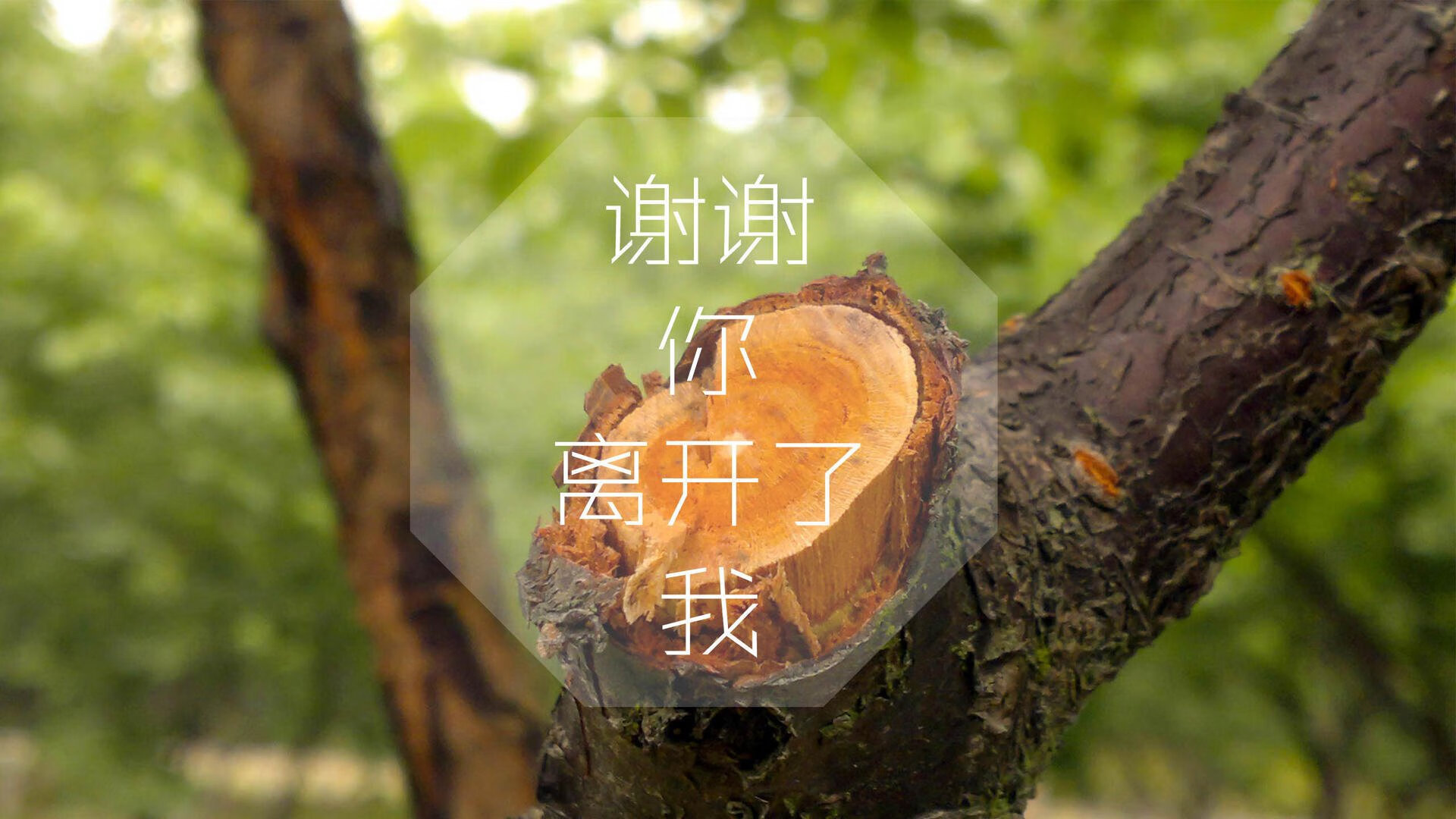 绝杀之夜，节奏为王—德容如何用慢杀死突尼斯